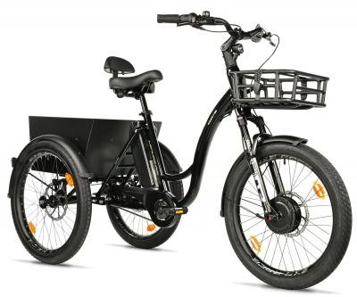 trojkolka-pre-dospelych-s-elektropohonom-curtis--cierna