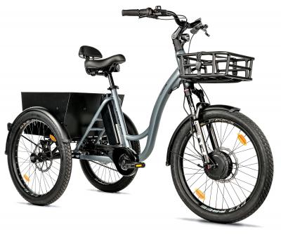 trojkolka-pre-dospelych-s-elektropohonom-curtis--siva