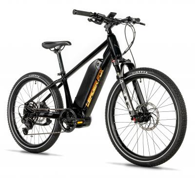 e-bicykel-pre-juniorov-leader-fox-weeny-24---ram-14---modra