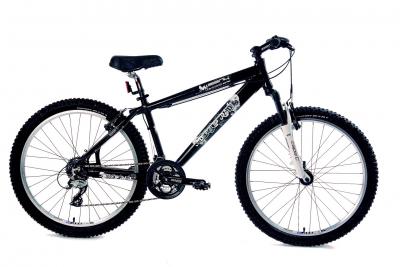 bicykel-dirt-parade-weeny-14---